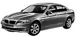 BMW F10 P3421 Fault Code